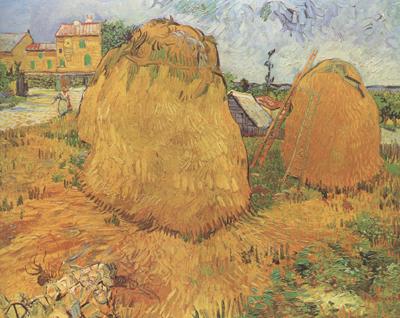 Vincent Van Gogh Haystacks in Provence (nn04) oil painting image
